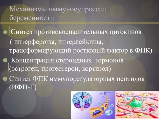 Механизмы иммуносупрессии беременности Синтез противовоспалительных цитокинов ( интерфероны, интерлейкины, трансформирующий ростковый фактор