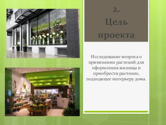 2. Цель проекта Исследование вопроса о применении растений для оформления жилища и