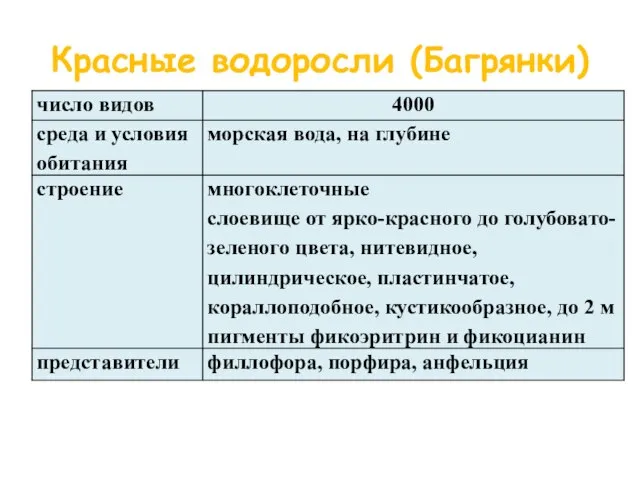 Красные водоросли (Багрянки)