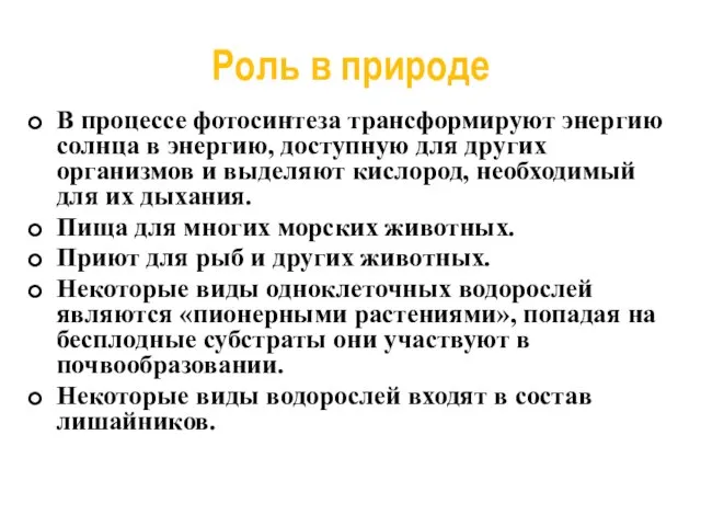 Роль в природе В процессе фотосинтеза трансформируют энергию солнца в энергию, доступную