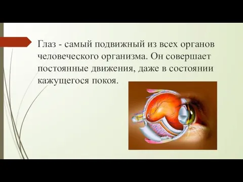 Глаз - самый подвижный из всех органов человеческого организма. Он совершает постоянные