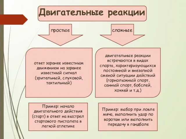 Двигательные реакции