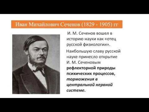 Иван Михайлович Сеченов (1829 - 1905) гг