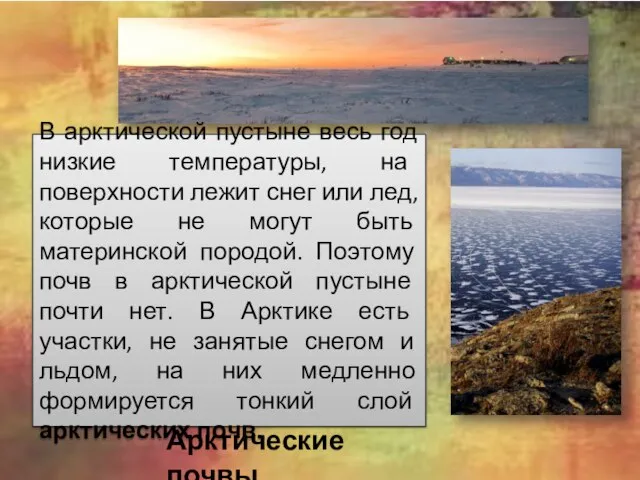 В арктической пустыне весь год низкие температуры, на поверхности лежит снег или