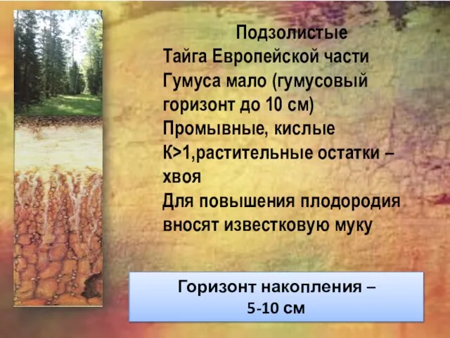 Подзолистые Тайга Европейской части Гумуса мало (гумусовый горизонт до 10 см) Промывные,