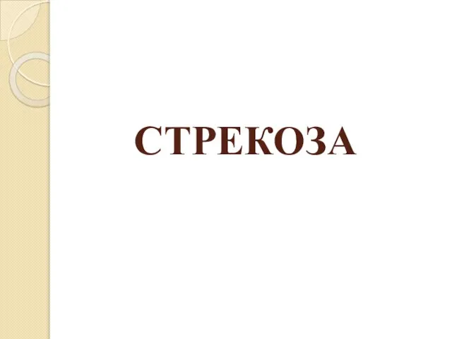 СТРЕКОЗА