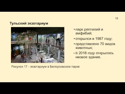 Тульский экзотариум парк рептилий и амфибий; открылся в 1987 году; представлено 70