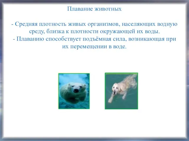 Плавание животных - Средняя плотность живых организмов, населяющих водную среду, близка к