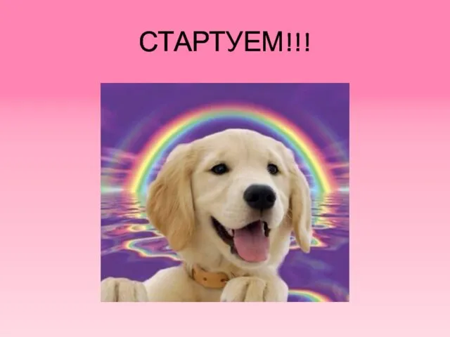 СТАРТУЕМ!!!