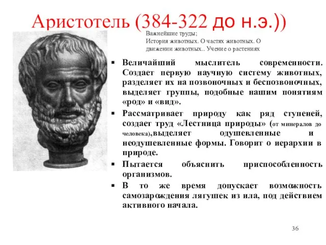 Аристотель (384-322 до н.э.)) Величайший мыслитель современности. Создает первую научную систему животных,