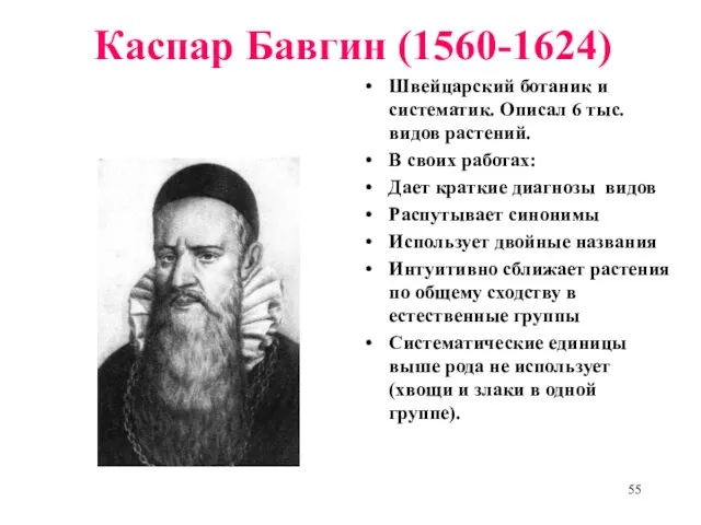 Каспар Бавгин (1560-1624) Швейцарский ботаник и систематик. Описал 6 тыс. видов растений.