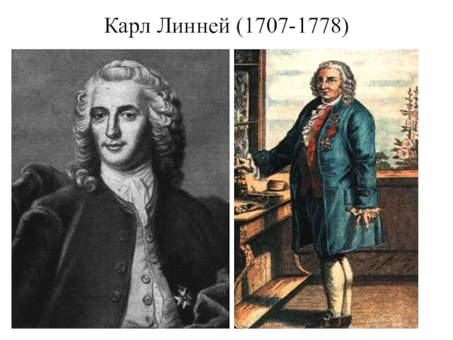 Карл Линней (1707-1778)