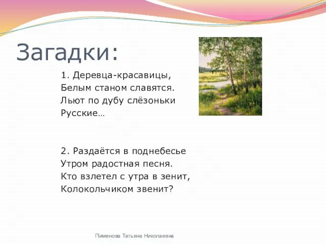 Загадки: 1. Деревца-красавицы, Белым станом славятся. Льют по дубу слёзоньки Русские… 2.