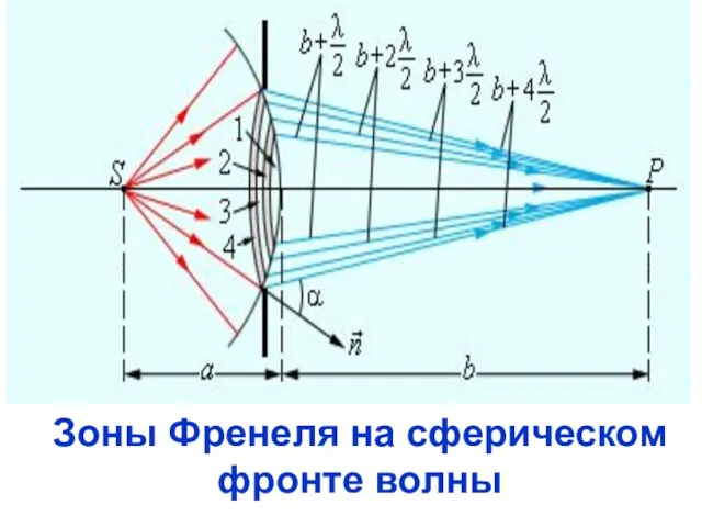 Зоны Френеля на сферическом фронте волны