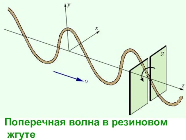 Поперечная волна в резиновом жгуте