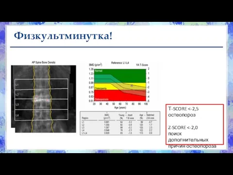 Физкультминутка! Т-SCORE Z-SCORE