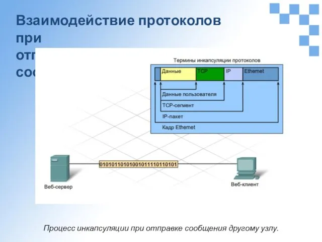 Взаимодействие протоколов при отправке и приёме сообщения Процесс инкапсуляции при отправке сообщения другому узлу.