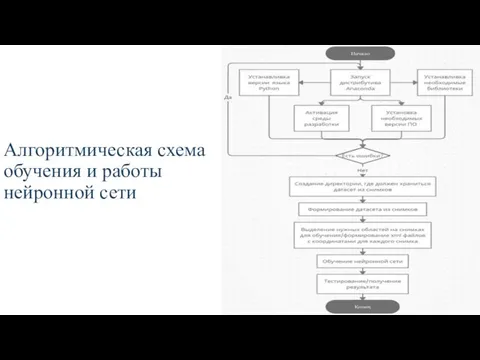 Алгоритмическая схема обучения и работы нейронной сети