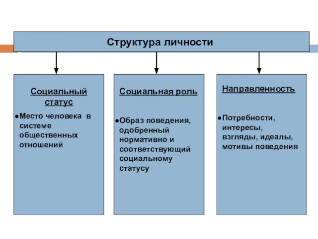 Структура личности Социальный статус Место человека в системе общественных отношений Социальная роль