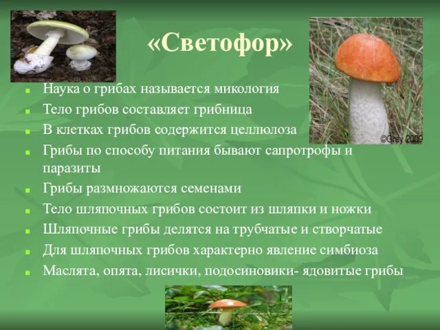 «Светофор» Наука о грибах называется микология Тело грибов составляет грибница В клетках