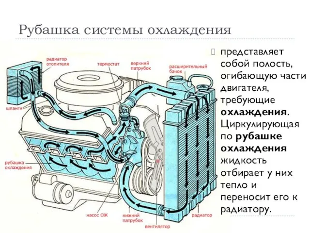 Рубашка системы охлаждения представляет собой полость, огибающую части двигателя, требующие охлаждения. Циркулирующая