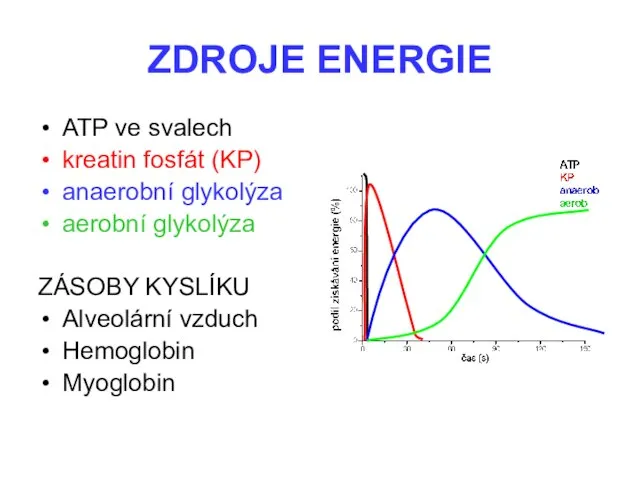 ZDROJE ENERGIE ATP ve svalech kreatin fosfát (KP) anaerobní glykolýza aerobní glykolýza