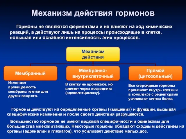 Механизм действия гормонов Гормоны не являются ферментами и не влияют на ход