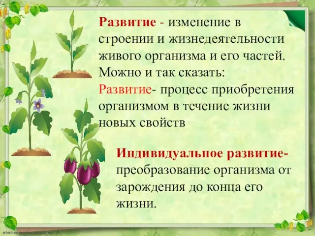 Развитие - изменение в строении и жизнедеятельности живого организма и его частей.