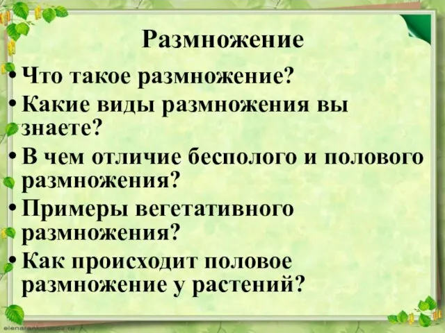 Размножение Что такое размножение? Какие виды размножения вы знаете? В чем отличие