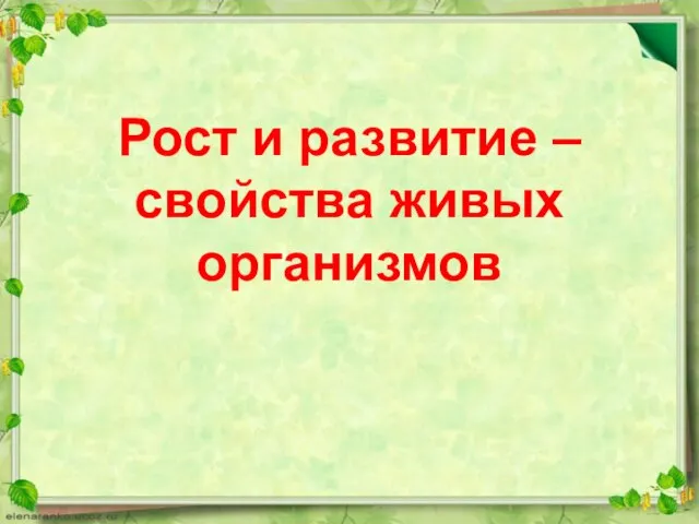 Рост и развитие – свойства живых организмов