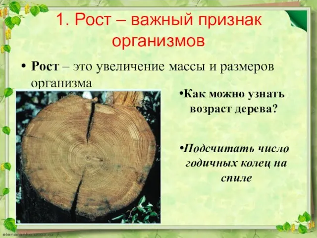 1. Рост – важный признак организмов Рост – это увеличение массы и