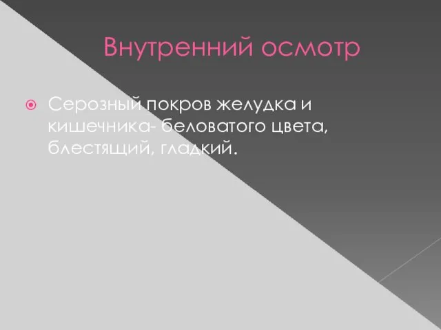 Внутренний осмотр Серозный покров желудка и кишечника- беловатого цвета, блестящий, гладкий.