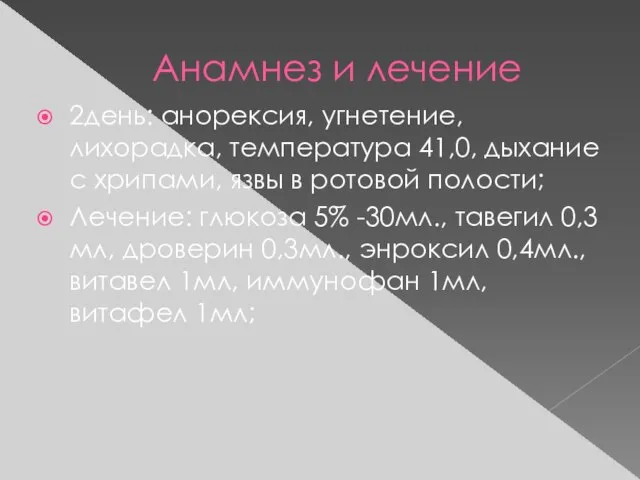 Анамнез и лечение 2день: анорексия, угнетение, лихорадка, температура 41,0, дыхание с хрипами,