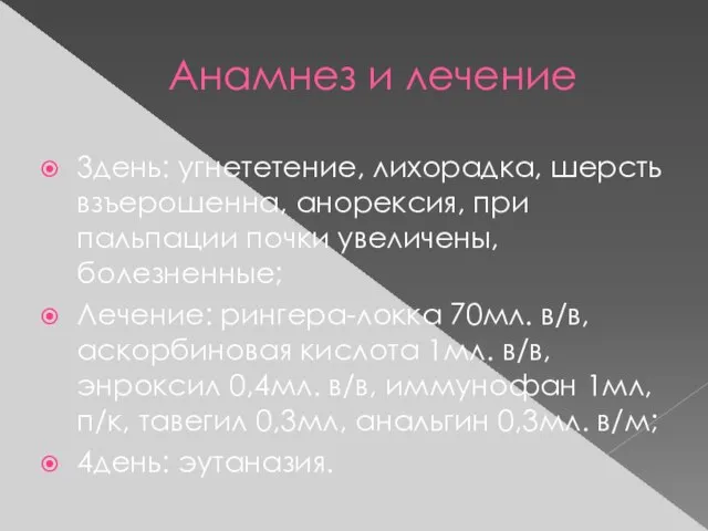 Анамнез и лечение 3день: угнететение, лихорадка, шерсть взъерошенна, анорексия, при пальпации почки