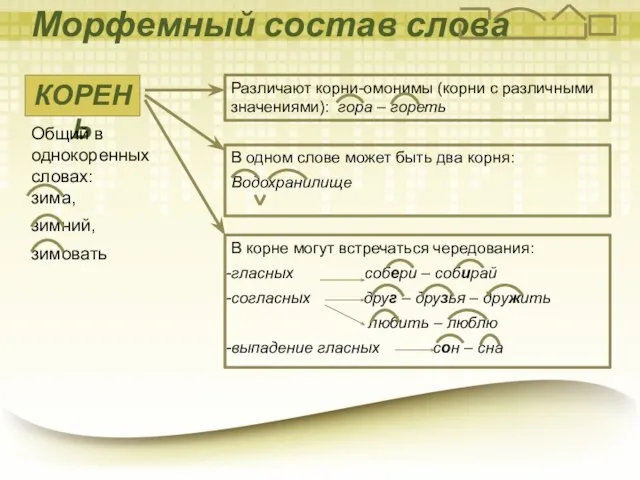 Морфемный состав слова КОРЕНЬ Общий в однокоренных словах: зима, зимний, зимовать Различают