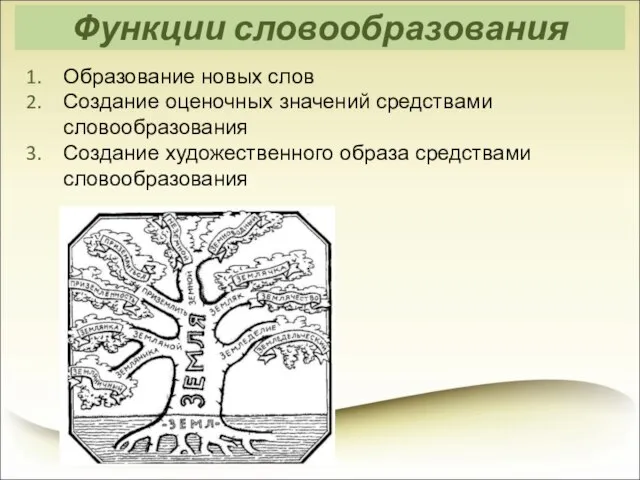 Функции словообразования Образование новых слов Создание оценочных значений средствами словообразования Создание художественного образа средствами словообразования