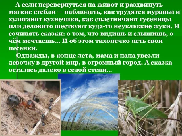 А если перевернуться на живот и раздвинуть мягкие стебли — наблюдать, как