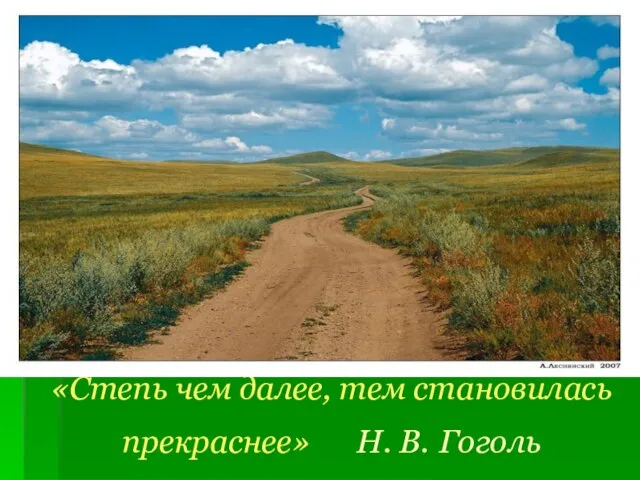 «Степь чем далее, тем становилась прекраснее» Н. В. Гоголь