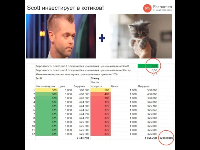 Scott инвестирует в котиков!