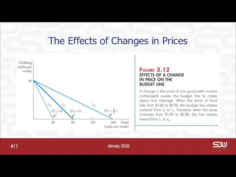 The Effects of Changes in Prices Almaty 2020 #17