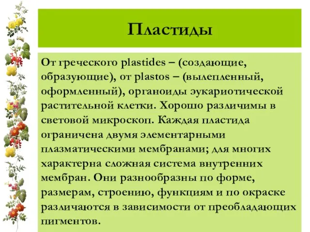 От греческого plastides – (создающие, образующие), от plastos – (вылепленный, оформленный), органоиды