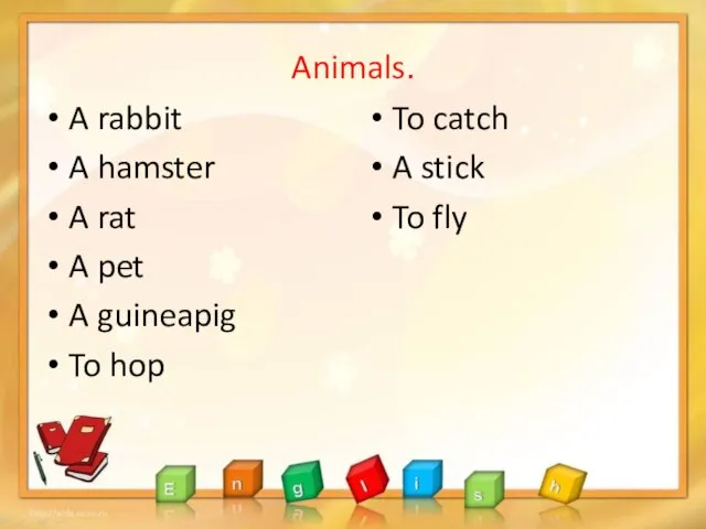 Animals. A rabbit A hamster A rat A pet A guineapig To