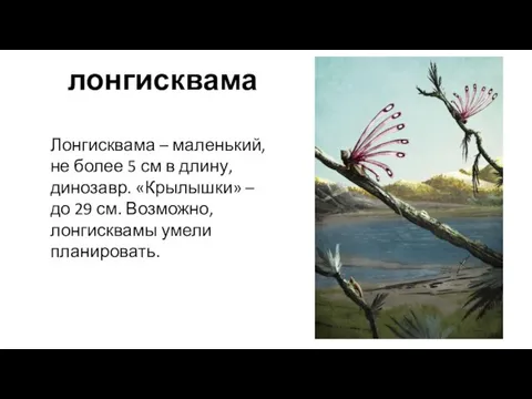 лонгисквама Лонгисквама – маленький, не более 5 см в длину, динозавр. «Крылышки»