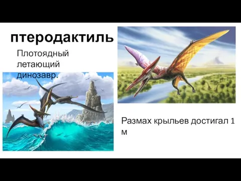 птеродактиль Плотоядный летающий динозавр. Размах крыльев достигал 1 м
