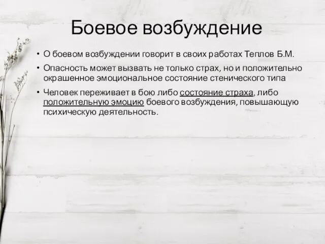 Боевое возбуждение О боевом возбуждении говорит в своих работах Теплов Б.М. Опасность