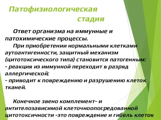 Патофизиологическая стадия Ответ организма на иммунные и патохимические процессы. При приобре­тении нормальными