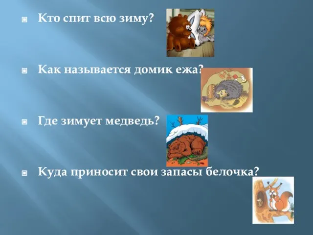 Кто спит всю зиму? Как называется домик ежа? Где зимует медведь? Куда приносит свои запасы белочка?