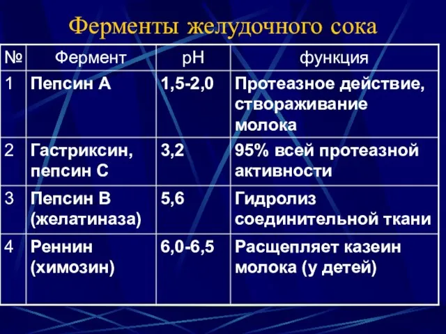 Ферменты желудочного сока