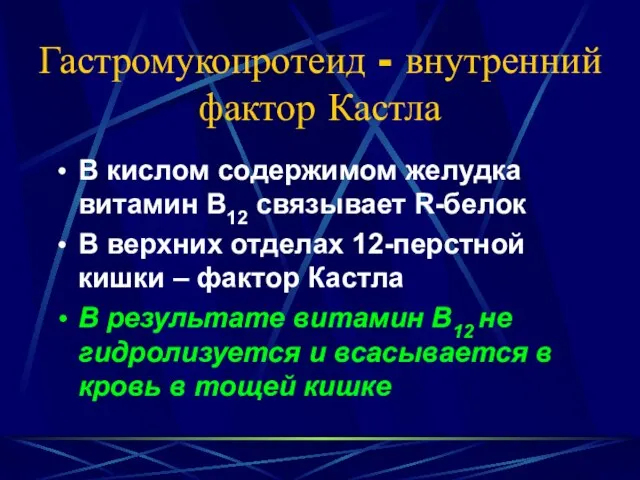 Гастромукопротеид - внутренний фактор Кастла В кислом содержимом желудка витамин В12 связывает