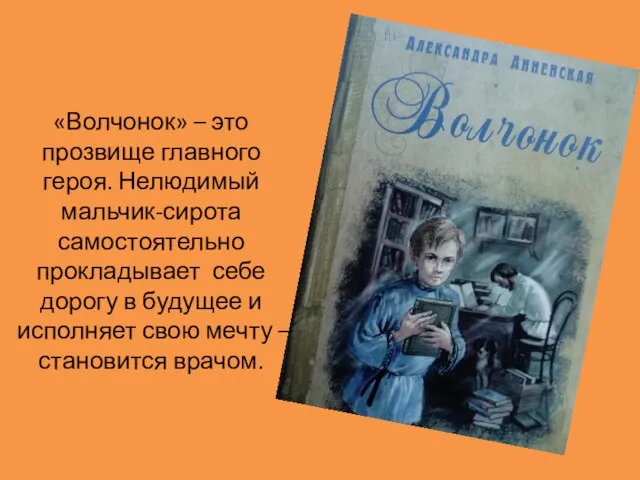 «Волчонок» – это прозвище главного героя. Нелюдимый мальчик-сирота самостоятельно прокладывает себе дорогу